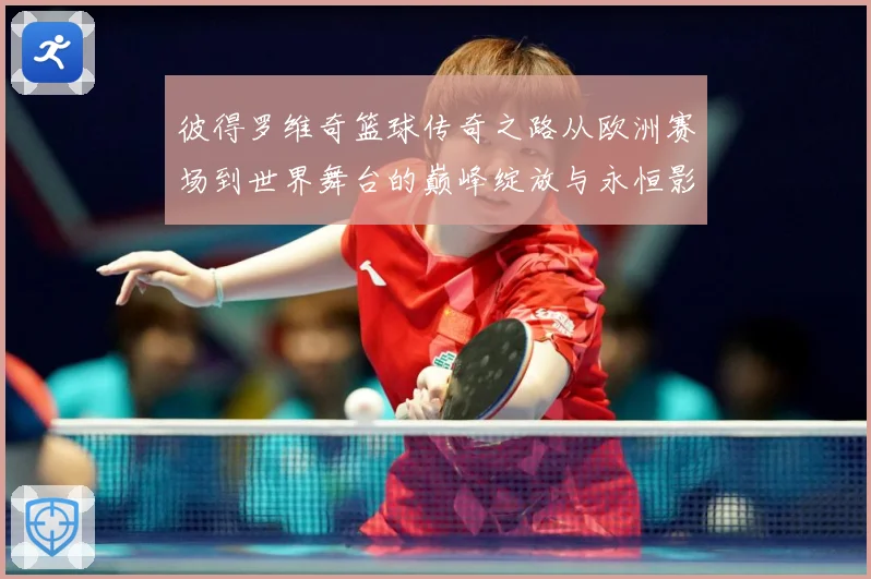 彼得罗维奇篮球传奇之路从欧洲赛场到世界舞台的巅峰绽放与永恒影响