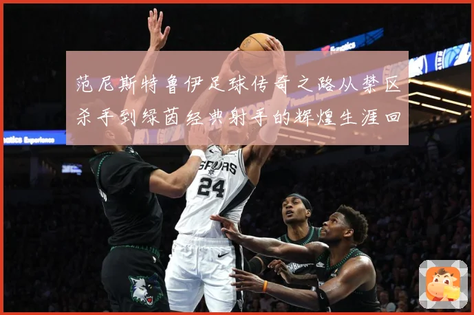 范尼斯特鲁伊足球传奇之路从禁区杀手到绿茵经典射手的辉煌生涯回顾